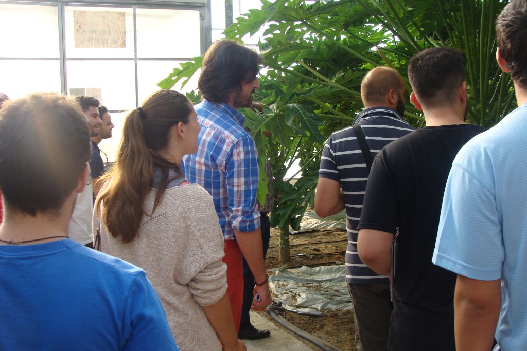 FINCA EXPERIMENTAL UAL