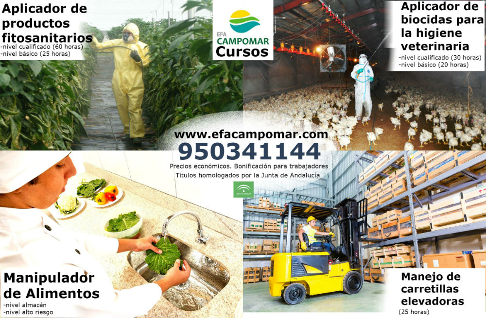  MANIPULADOR DE ALIMENTOS Y CARRETILLA ELEVADORA