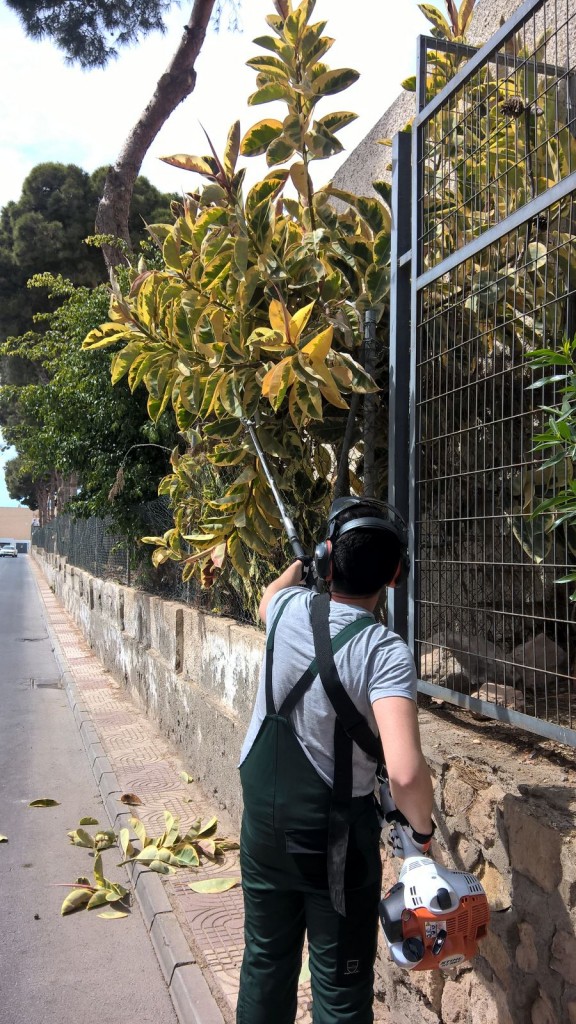 TRABAJAR APRENDIENDO Y APRENDIENDO A TRABAJAR