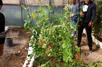  PRODUCTOS CULTIVADOS EN LOS INVERNADEROS