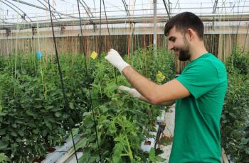 PERIODO DE PRÁCTICAS EN EMPRESAS