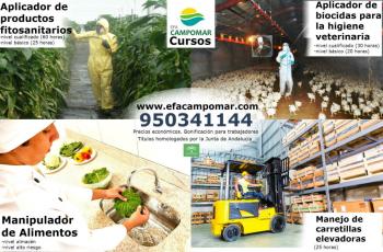  MANIPULADOR DE ALIMENTOS Y CARRETILLA ELEVADORA