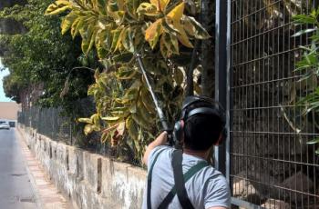 TRABAJAR APRENDIENDO Y APRENDIENDO A TRABAJAR
