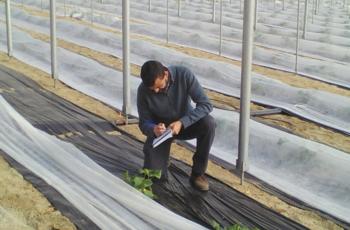 ALUMNOS EN SUS PRÁCTICAS DE FP DUAL