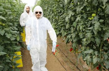 PRÁCTICAS Y MÁS PRÁCTICAS